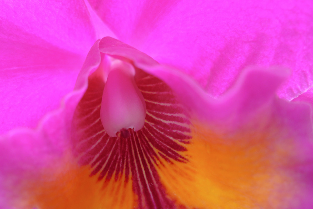 Another bloody LX3 macro. Yawn