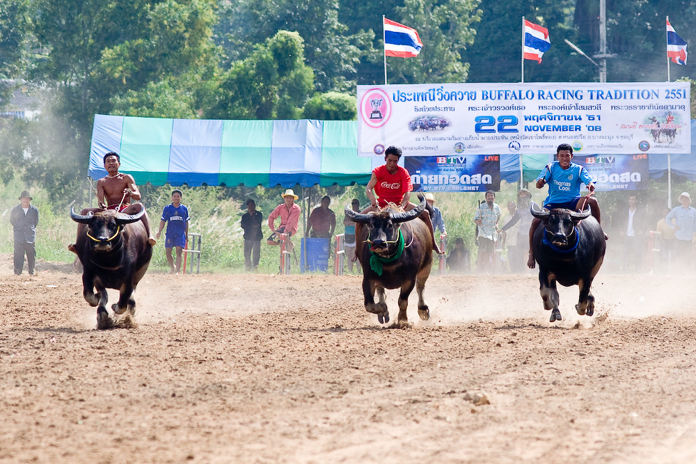 Buffalo Racing
