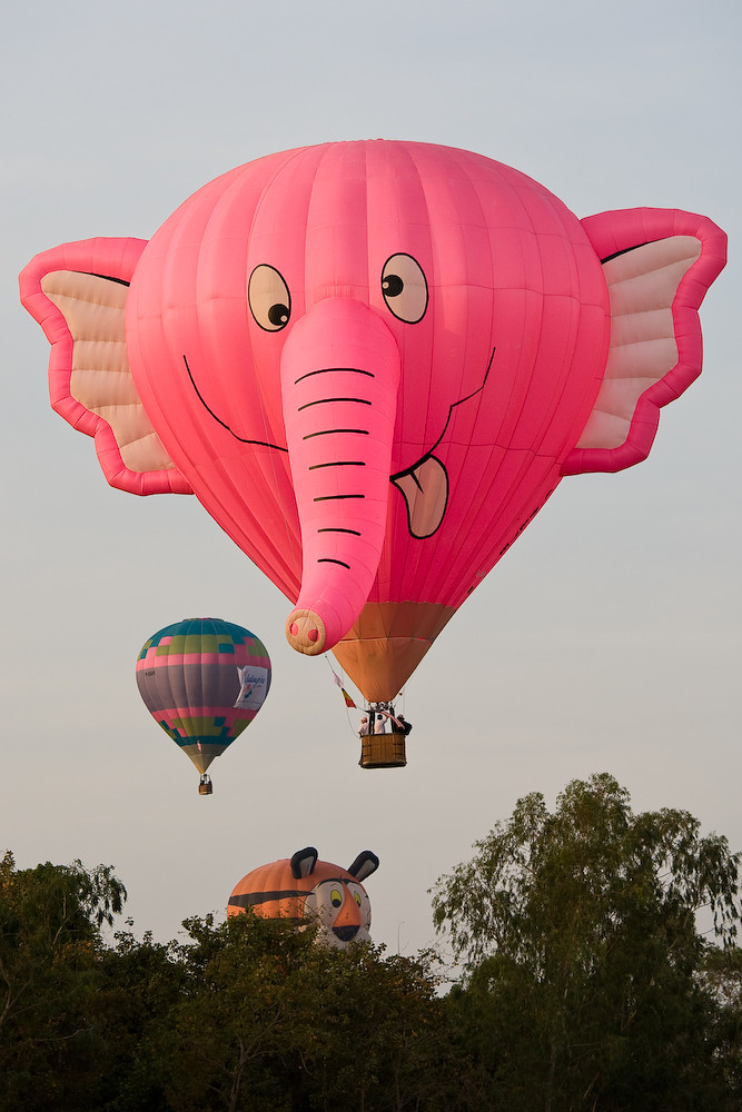 2007 Balloon Festival