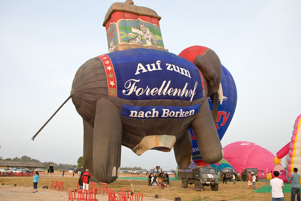 2007 Balloon Festival