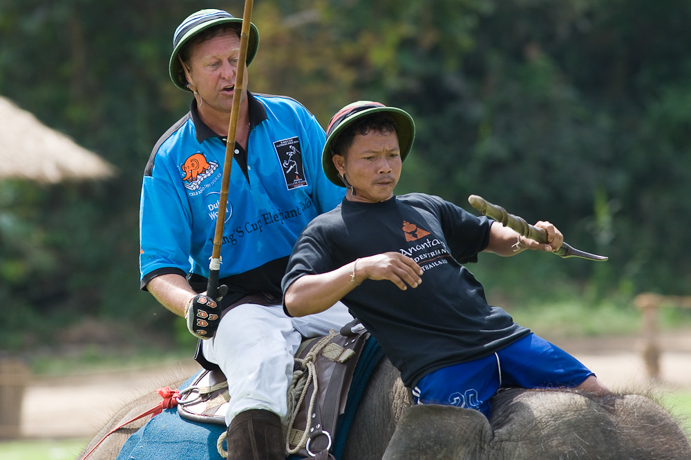Elephant Polo