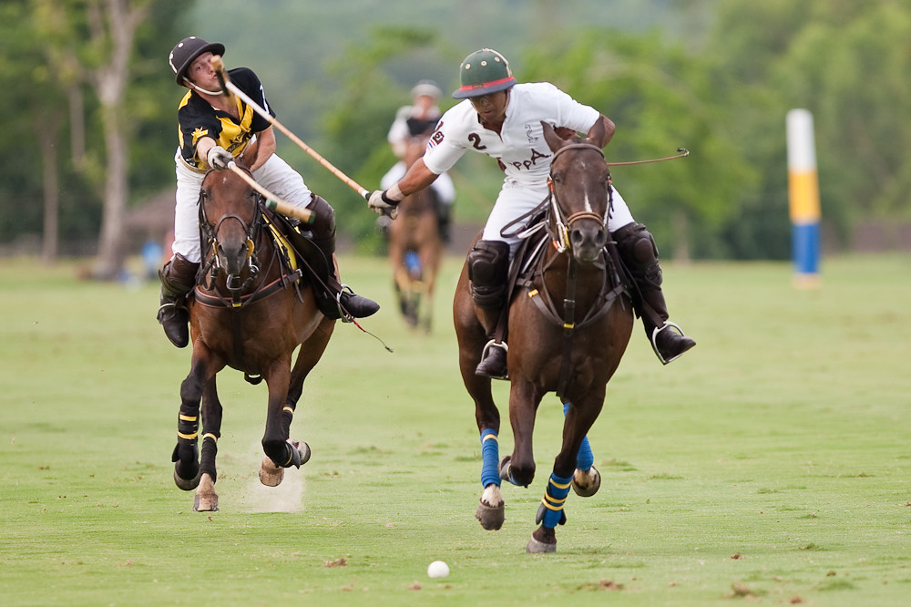Polo action