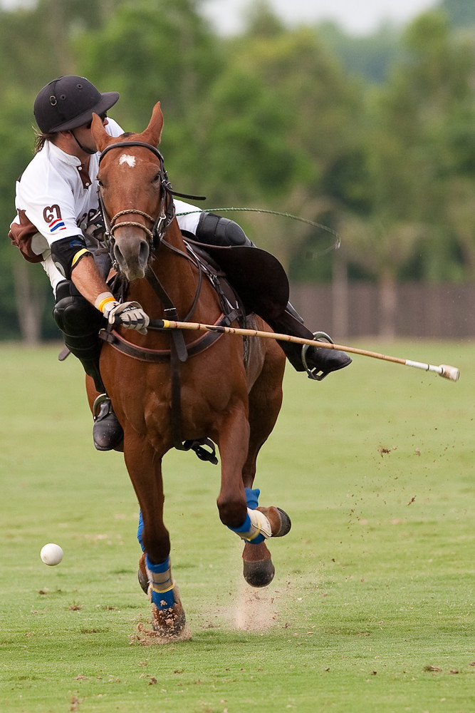 Polo action