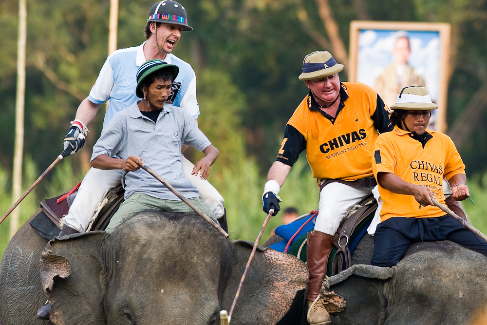 Elephant Polo