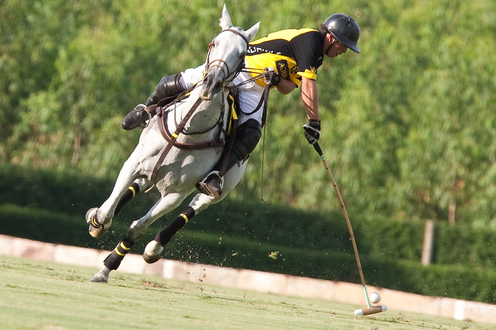 Polo action