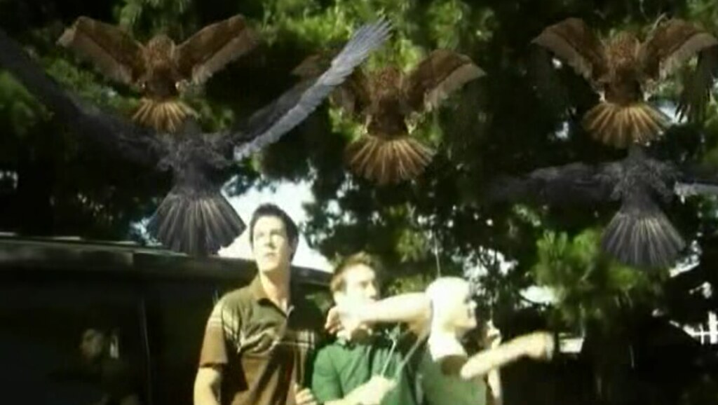 Screen shot 2010-05-02 at 12.16.07 PM