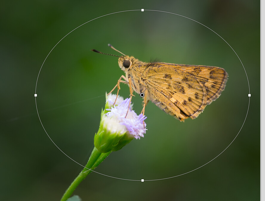 Screen Shot 2013-04-16 at 12.56.49 PM