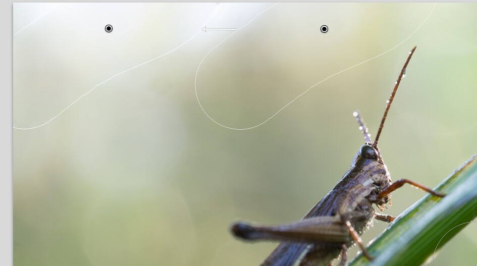 Screen Shot 2013-04-16 at 1.19.07 PM
