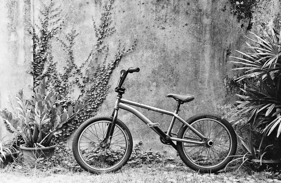 Bike in the garden